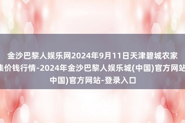 金沙巴黎人娱乐网2024年9月11日天津碧城农家具批发市集价钱行情-2024年金沙巴黎人娱乐城(中国)官方网站-登录入口