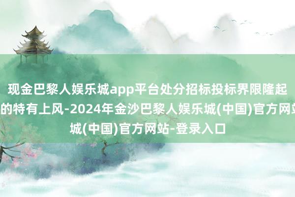 现金巴黎人娱乐城app平台处分招标投标界限隆起问题等方面的特有上风-2024年金沙巴黎人娱乐城(中国)官方网站-登录入口